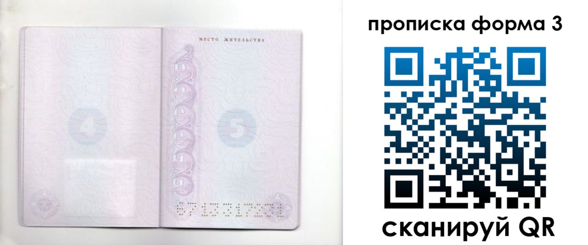 прописка гарантия в Кинешме